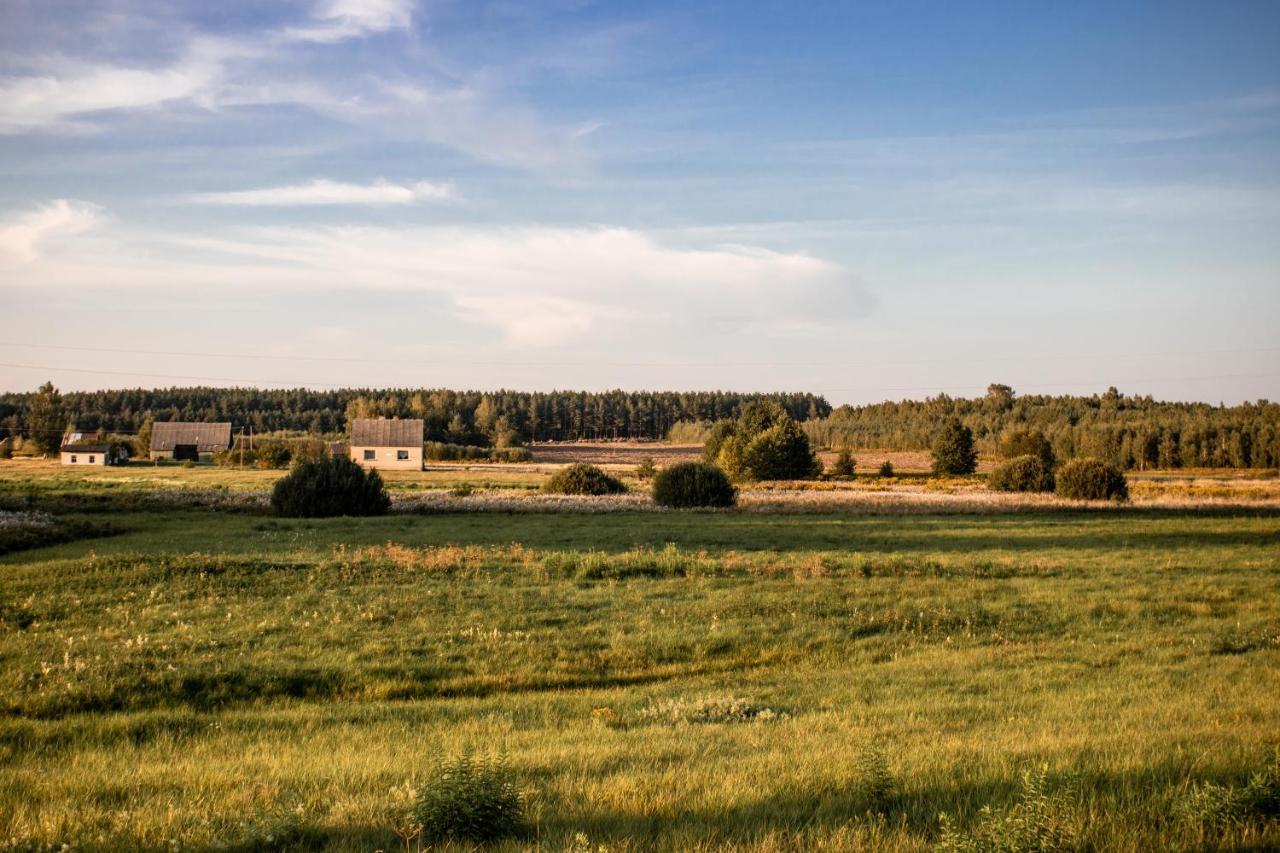 Jarzebinowa - Dom Do Wynajecia Na Podlasiu Luka المظهر الخارجي الصورة